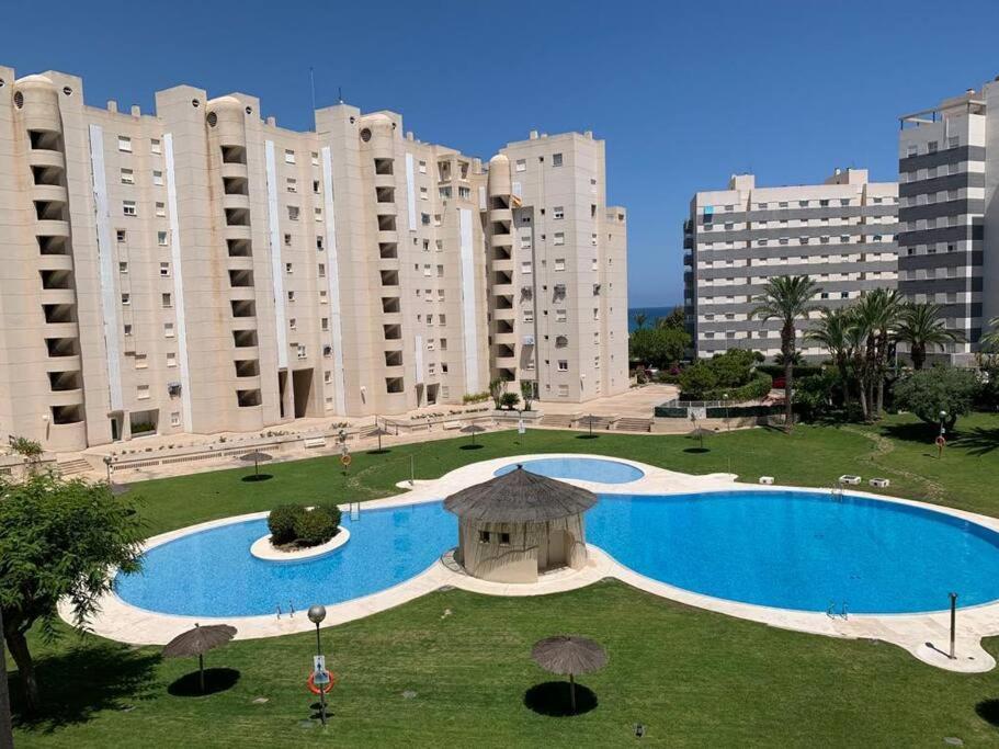 Apartamento - Playa El Campello Urbanizacion Jardin Del Mar Exterior photo